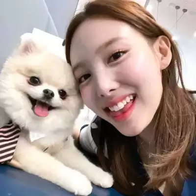 丁芷巧
